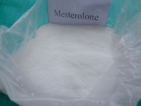 Mesterolone (Proviron)